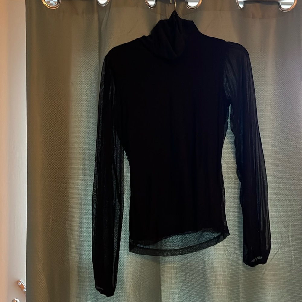 Sheer sleeve turtleneck sanctuary